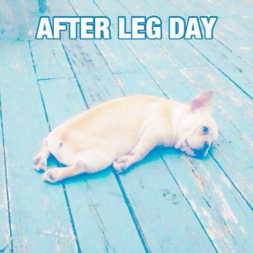 After Leg Day