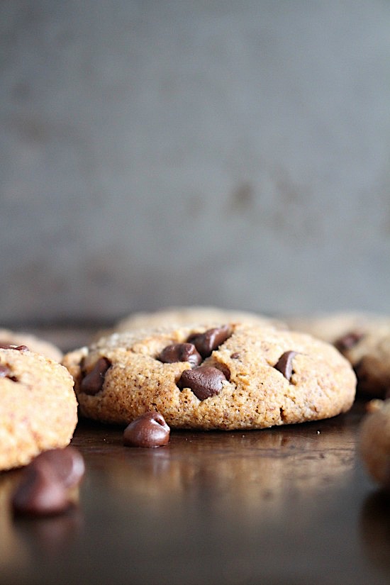 Soft Baked Choc Chip Almond Butter CookiesGluten Free - Dairy Free - Grain Free - Refined Sugar Free - Low Carb - Keto - Paleo - Vegan Friendly - www.betterwithcake.com