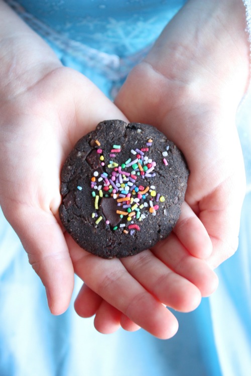 Double Chocolate Chip Cookies {Vegan & Paleo Friendly}