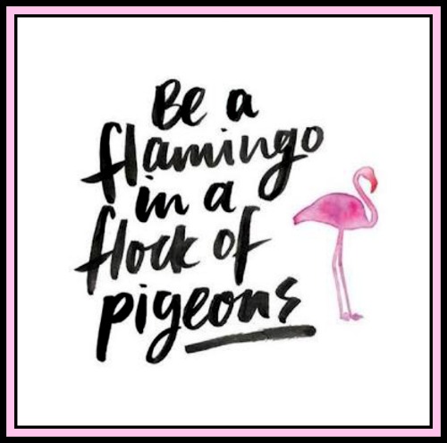 Be a flamingo in a flock of pigeons - www.betterwithcake.com