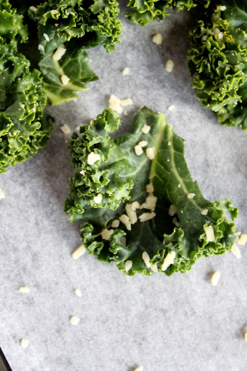 Garlic and Parmesan {Oven Baked} Kale Chips