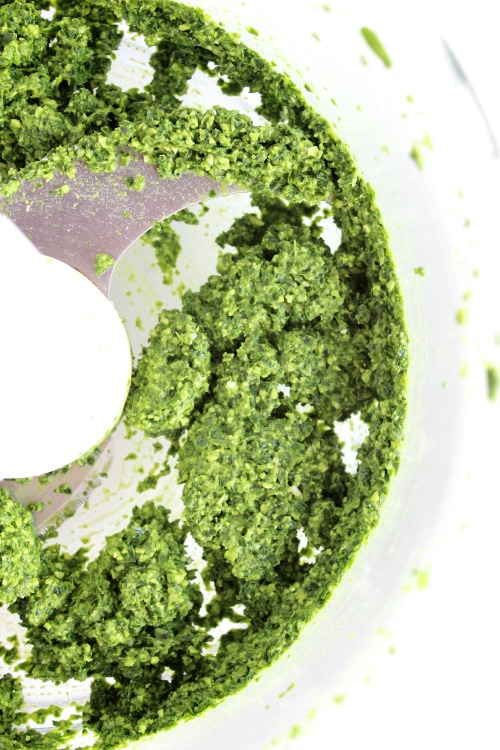 Spinach, Kale & Roasted Garlic Pesto {Vegan & Paleo friendly} 