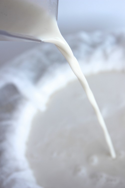 Vanilla Cashew Milk