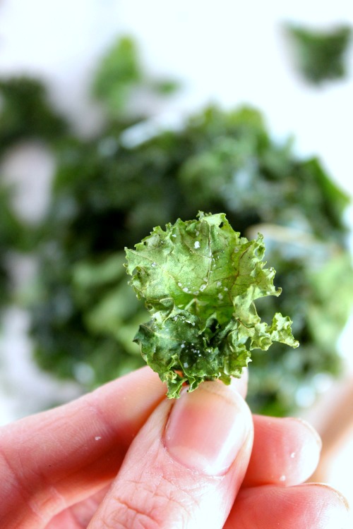 Oven Baked Kale Chips