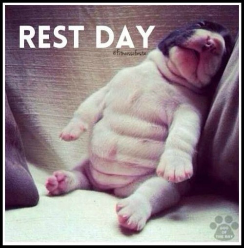 Fit Friday Fun - Rest, it's part of the program - www.betterwithcake.com