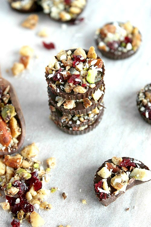 Dark Chocolate Cranberry, Coco-nutty Fruit and Nut Clusters