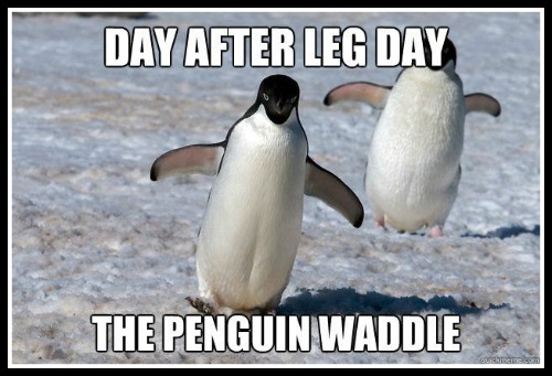 Day after leg day waddle - www.betterwithcake.com