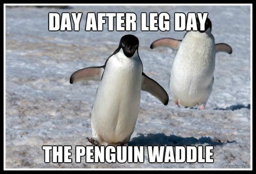 Leg day waddle - www.betterwithcake.com