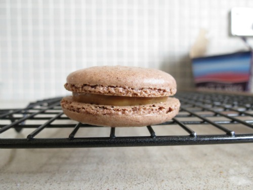 Chocolate Macarons with Salted Caramel {Dulce De Leche}