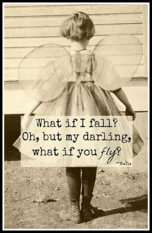 Fit Friday Fun 13-02-14 – Oh but my darling, what if you fly?!